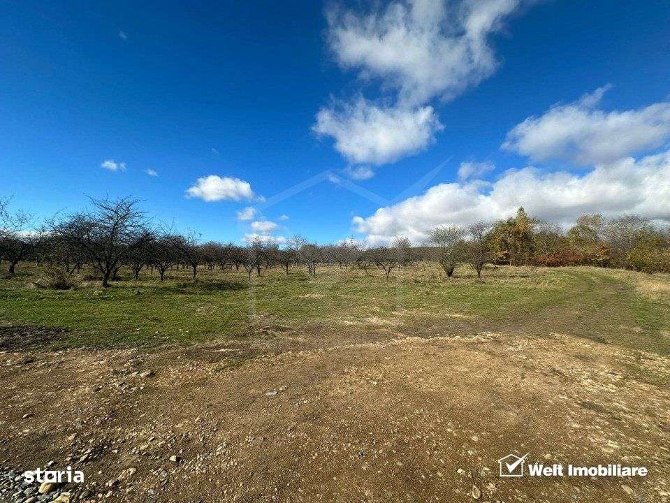 Teren Dambu Rotund 4750 mp, intravilan, UTR TDA_L, posibilitate invest - Imagine principală: 2/4