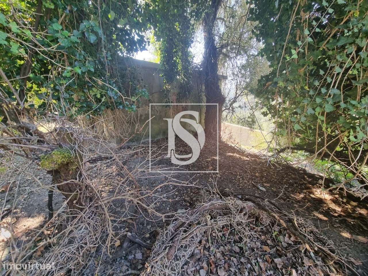 Moradia Em Pedra Para Restauro-14