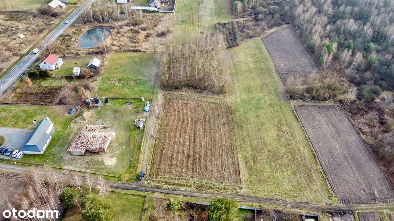 Działka budowlana 56 ar, Wola Baranowska – MPZP, media, las na działce - Pełny obrazek: 4/8