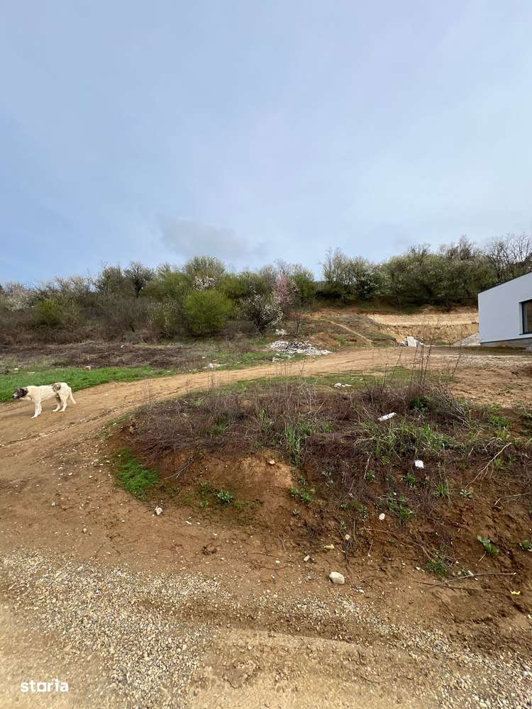 Intravilan, toate utilitățile- Oncea(Str.Prunilor) - Imagine principală: 4/5