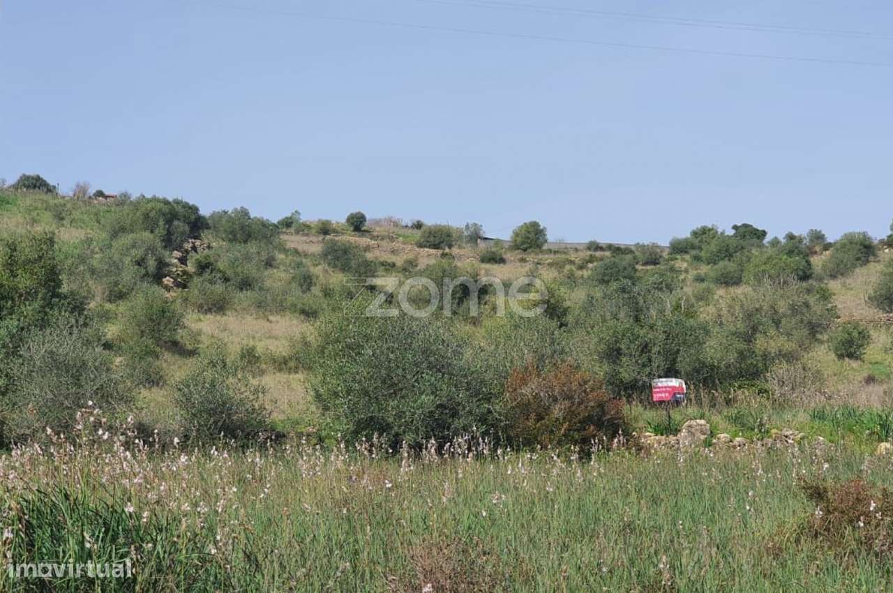 Terreno Rústico -Natureza, História e Tranquilidade na Terrugem Sin...-17