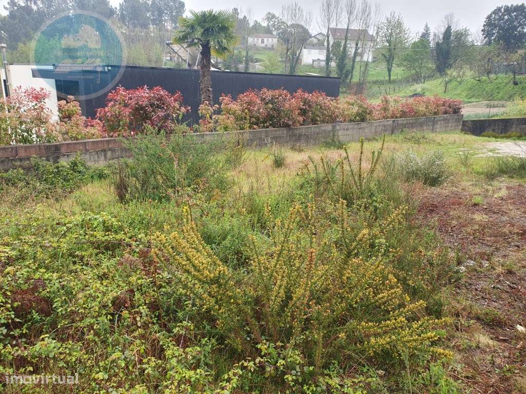 Terreno Construtivo de 1200m² 
Localização: Sra. de Fátima- Cabece...-7