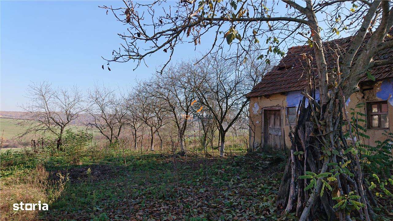 Vand teren in Santelec - Imagine principală: 1/6