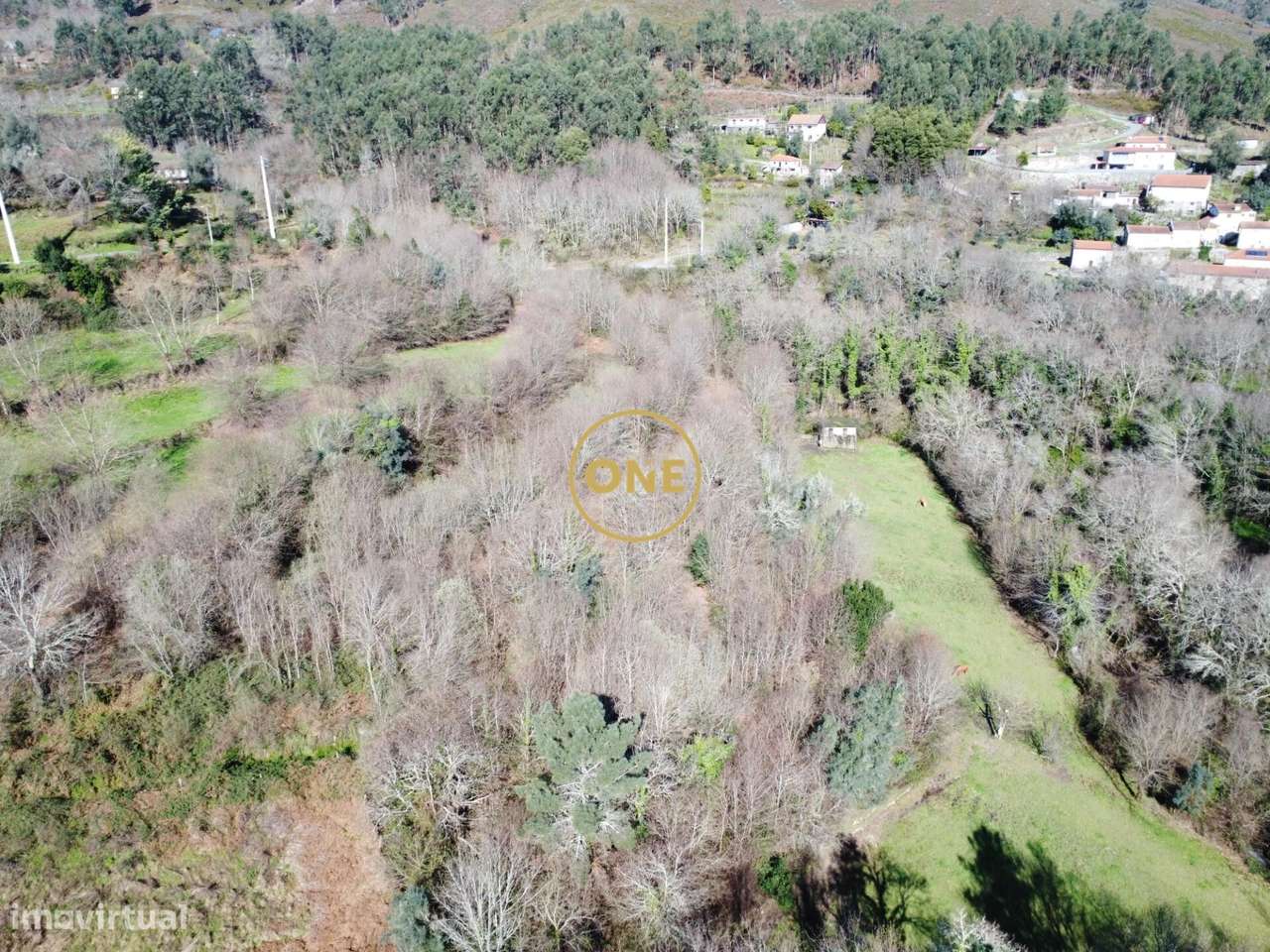 Bouça florestal com 8000m2 em Valdreu – Excelente oportunidade - Grande imagem: 2/23