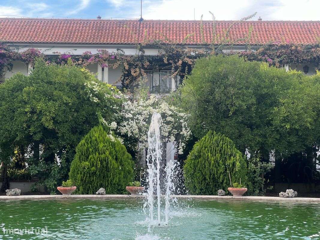 Quinta T10 para venda - Grande imagem: 4/26