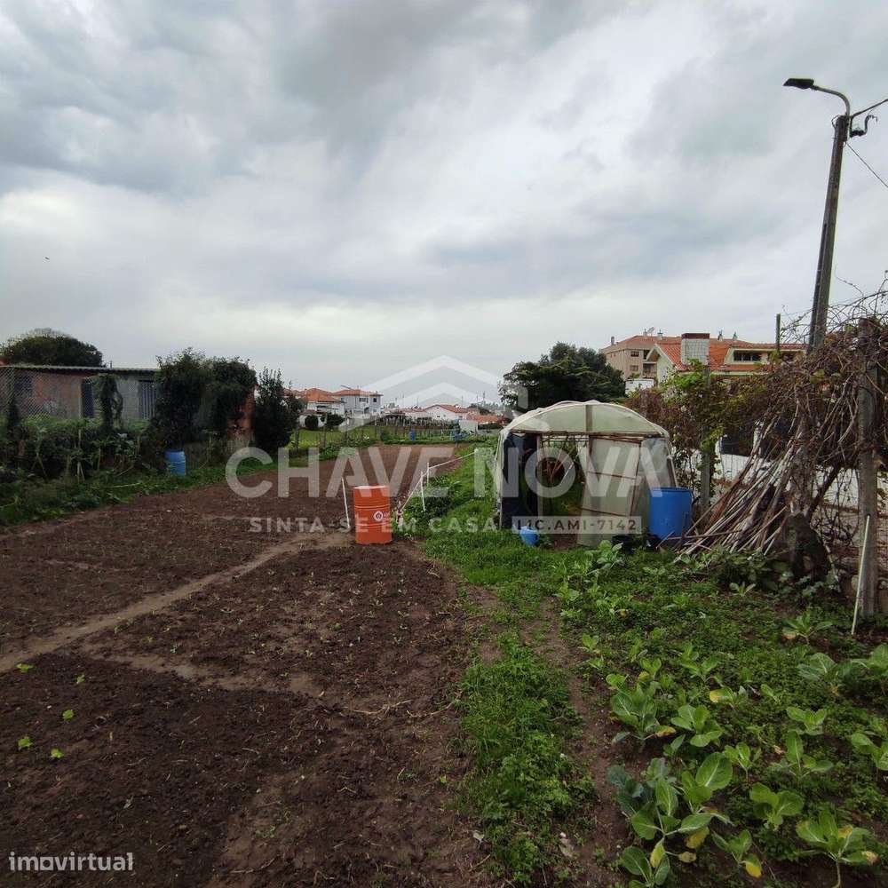 Lote c/Projeto Aprovado p/ 5 Moradias em Canelas - Grande imagem: 2/7