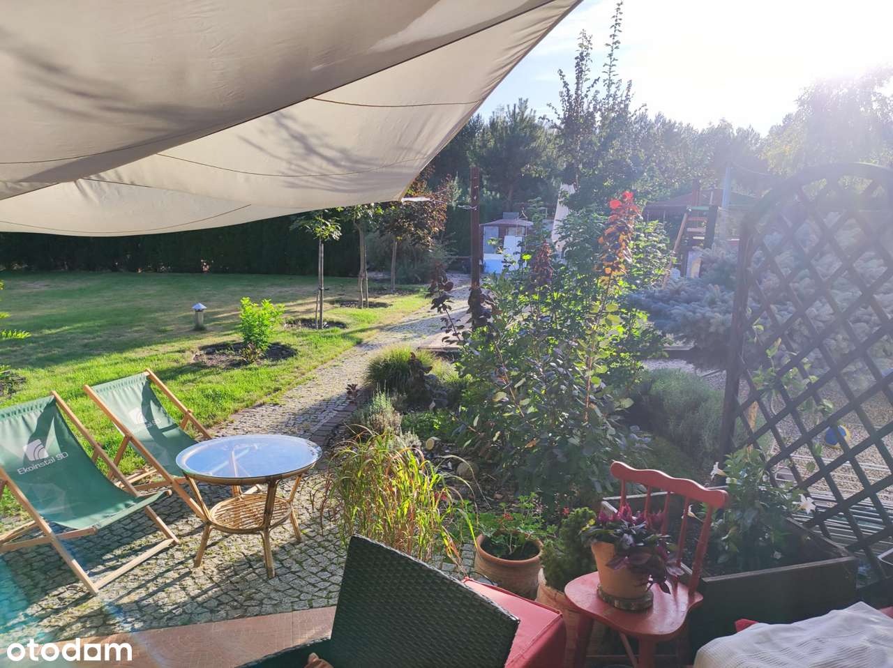 Dzikowo - dom wolnostojący na sprzedaż-5