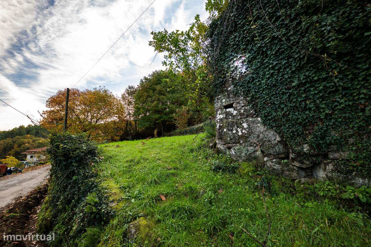 Moradia T1 em ruína em Ribeira de Pena - Grande imagem: 4/24