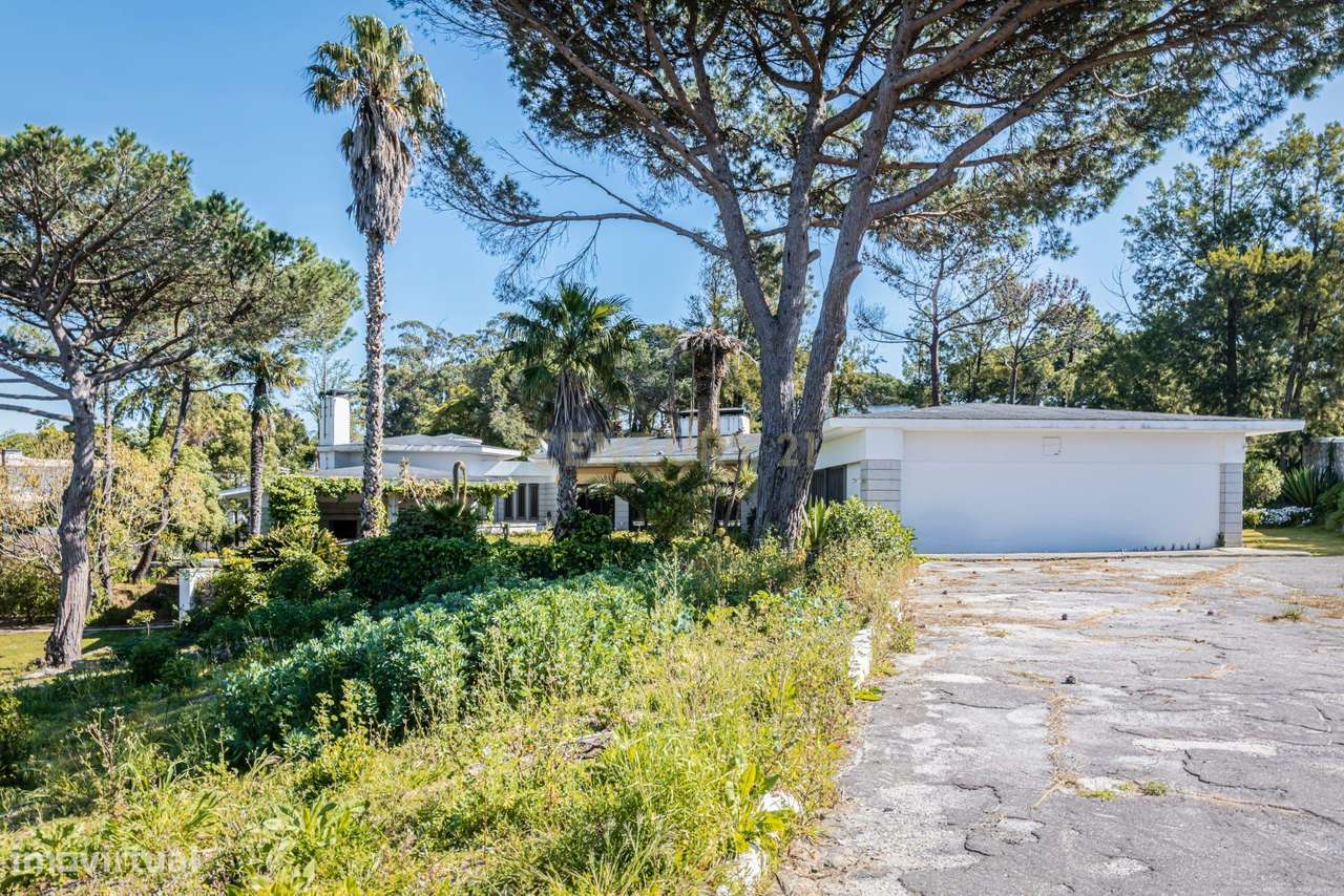 Moradia T12 e terreno 7100 m2-16