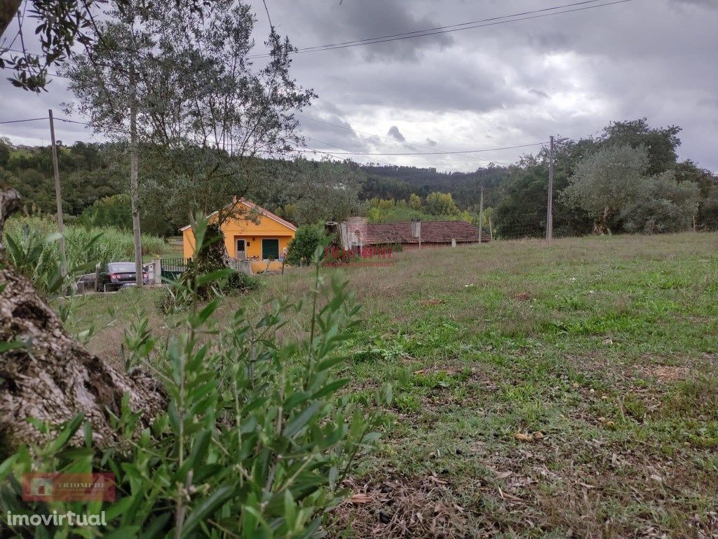 Terreno 539 m2 com Oliveiras em Milagres, Leiria