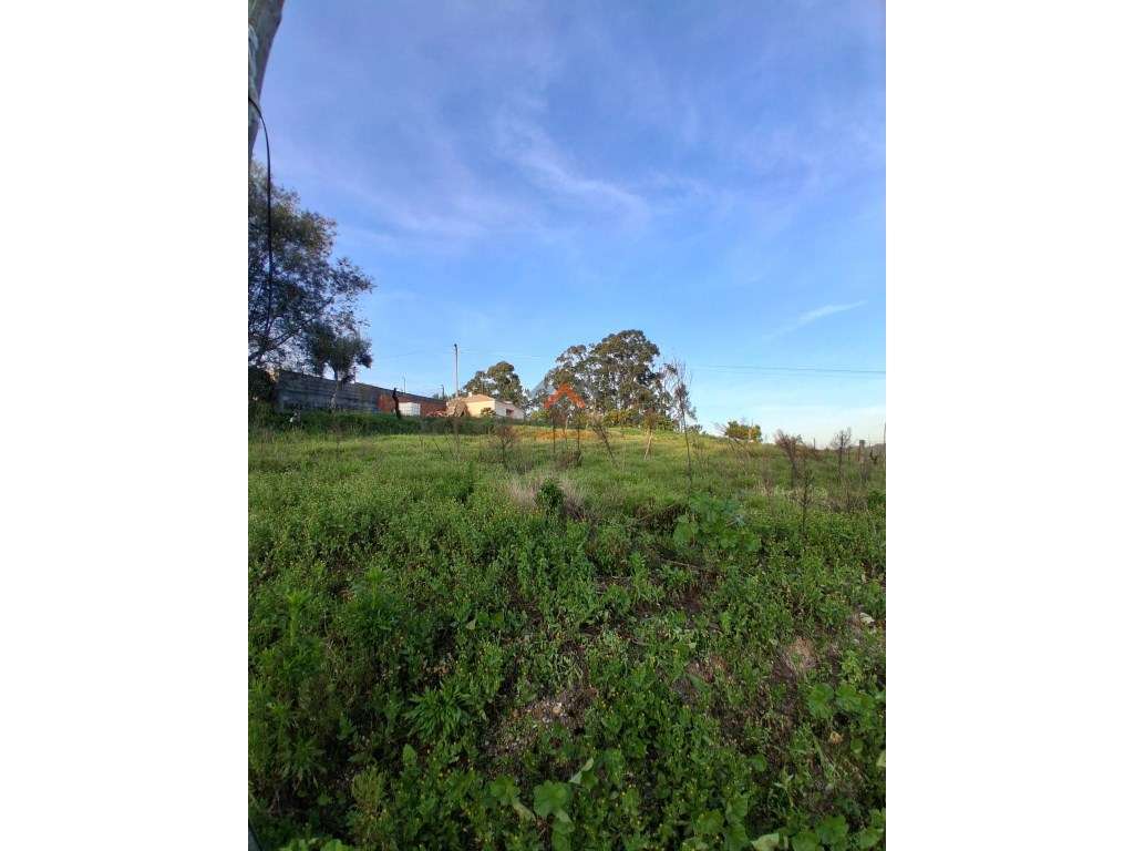 Terreno Urbano à Venda em Oiã - Zona Calma - Grande imagem: 3/4