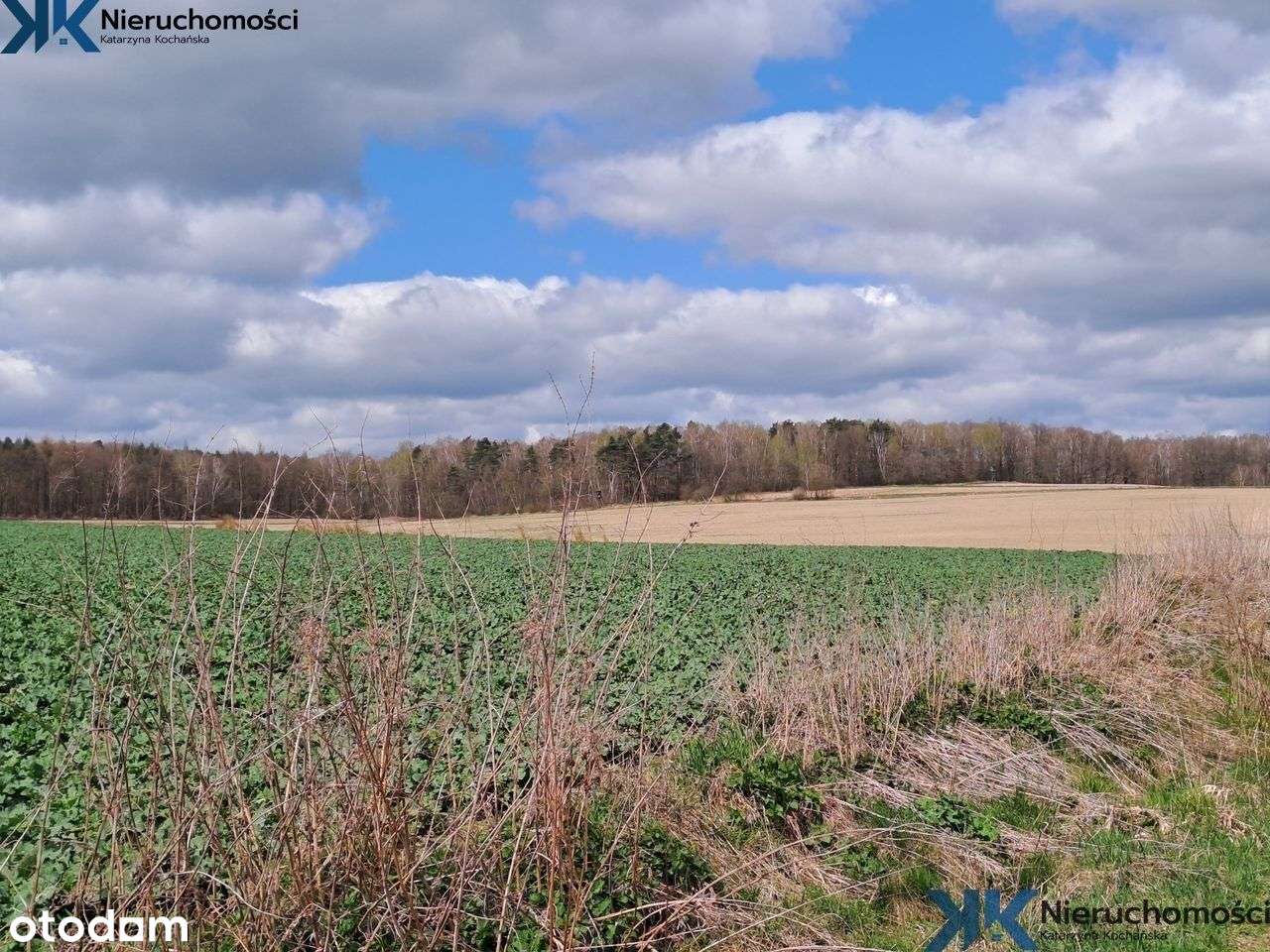 Duża działka rolna, Zbrosławice. - Pełny obrazek: 4/9