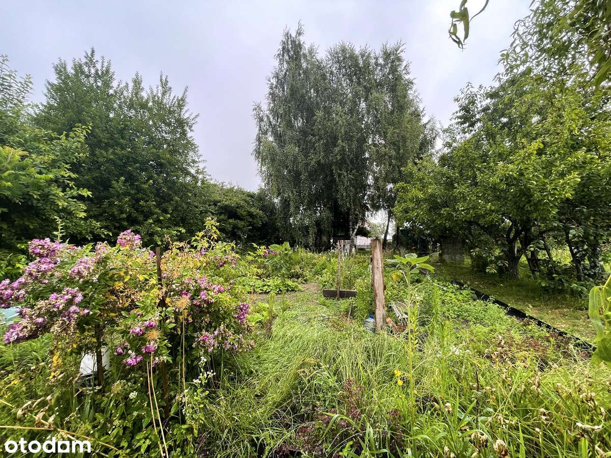 Mieszkanie z dużym ogrodem - Osiedle Przezmark-18