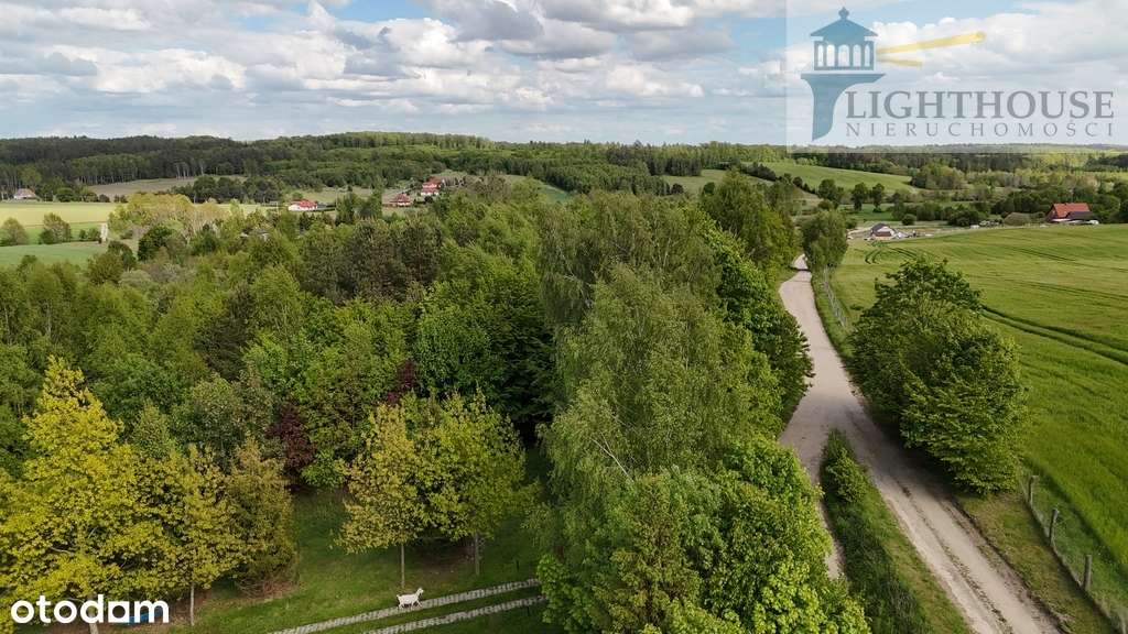 Działka 7037 mkw Błotnia / Trąbki Wielkie-7