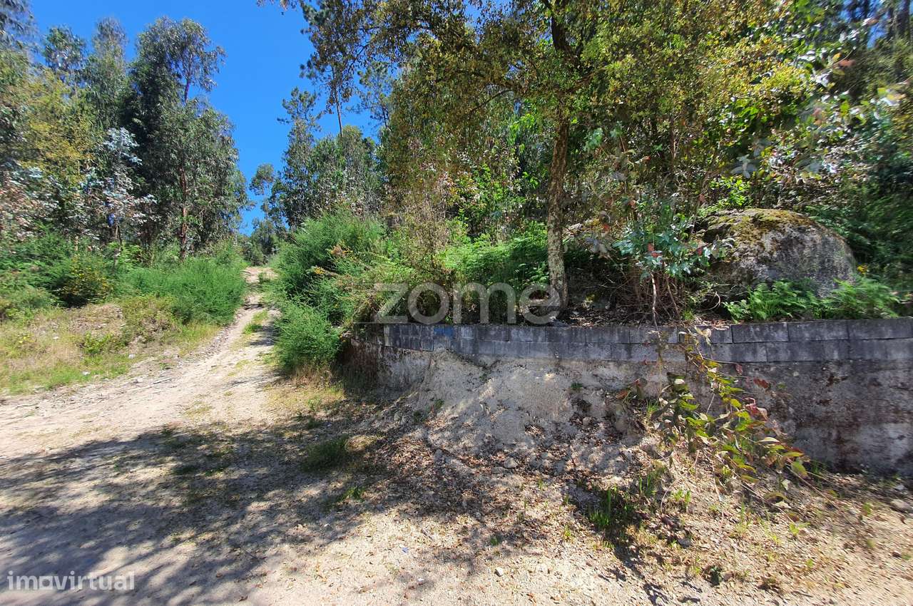 Bouça c/ 14.300m2 em Airó, Barcelos - Grande imagem: 3/38