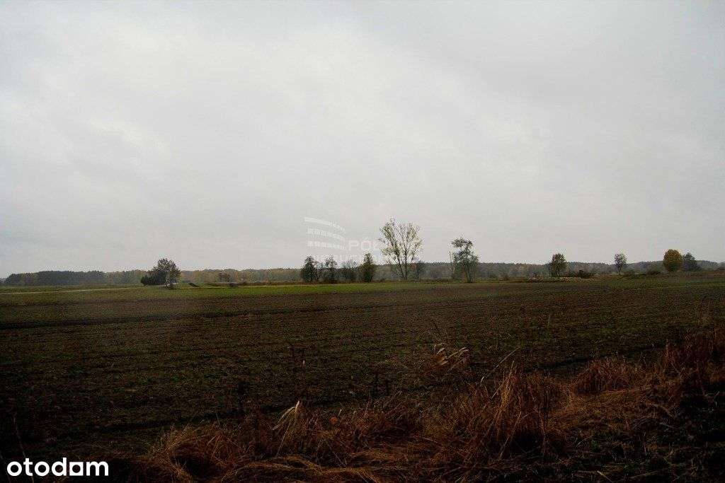 Urocza działka budowlana w Charbicach Dolnych - Pełny obrazek: 2/3