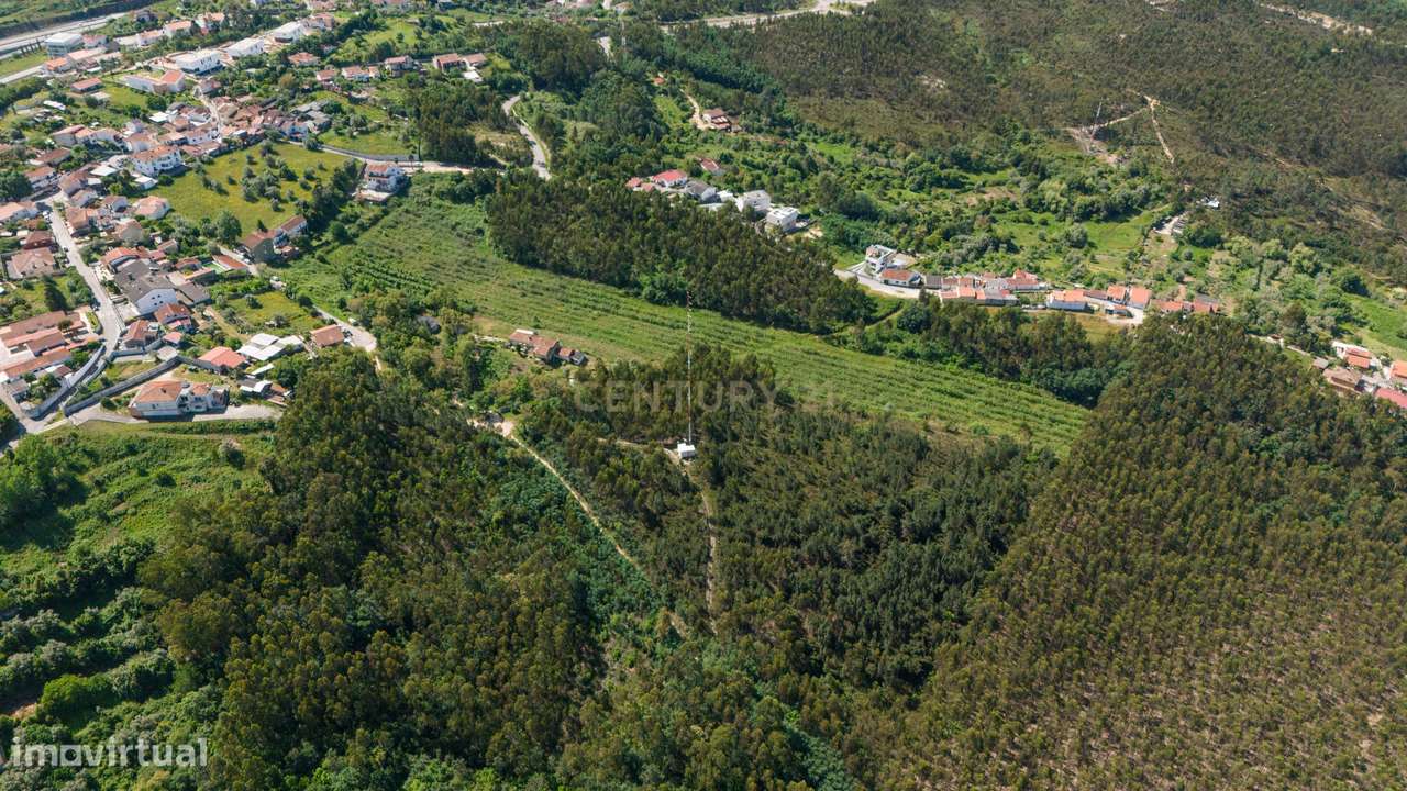 Quinta com 8 hectares com potencial para construção – Antanhol - Coimb-14