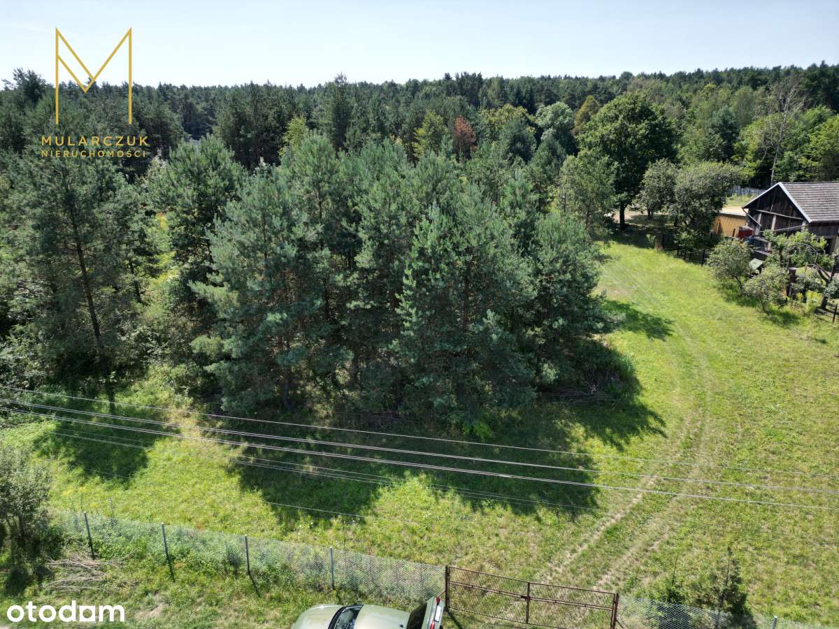 Działka Budowlana 4966 m2 blisko lasu Łęka-11