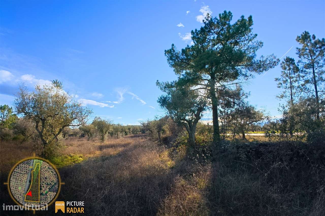 Terreno Plano 6.700m² c/ Vistas Panorâmicas – Salgueiro do Campo-17