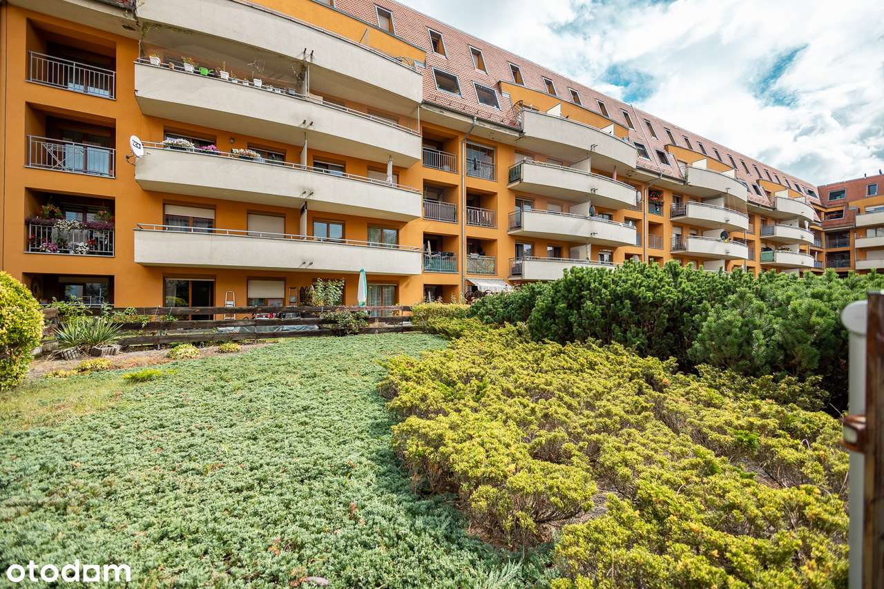 0% Prowizji 5min od Factory, garaż, po remoncie-9