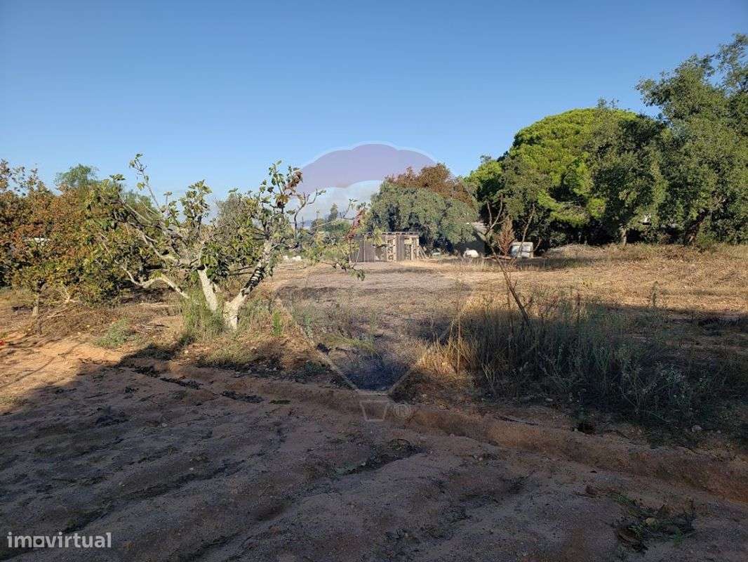 Terreno  para venda - Grande imagem: 4/7