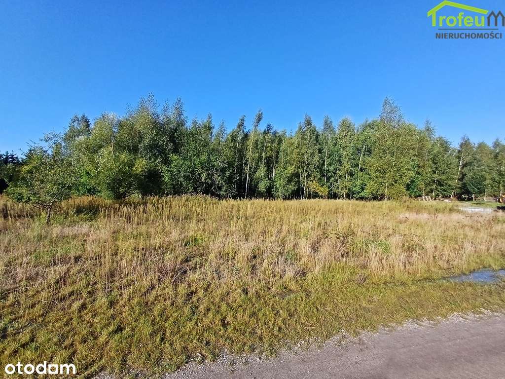 Atrakcyjna działka w Turznicach - Pełny obrazek: 5/5