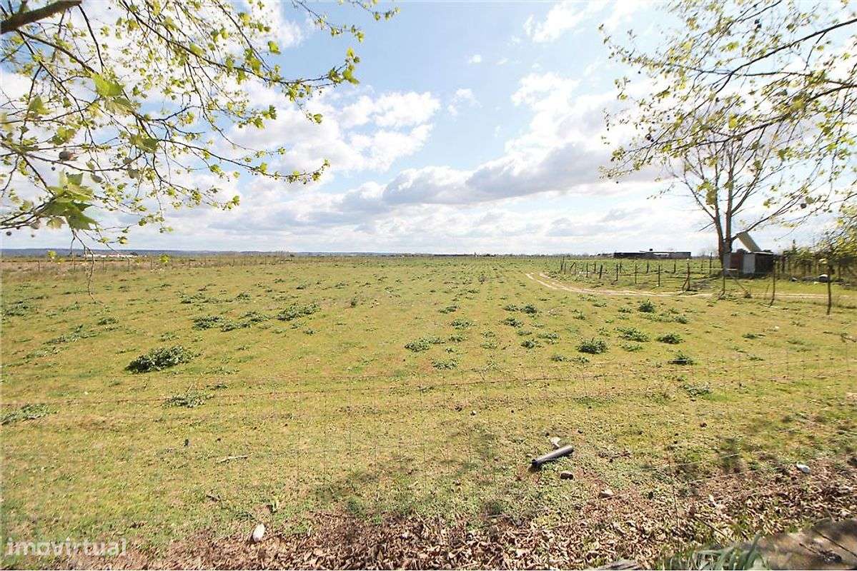 Moradia T4 para venda - Grande imagem: 4/23