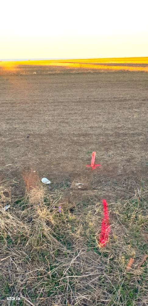 Eforie Sud, Teren 1608mp.D=50m./32m.1km.distanta de Mare-7