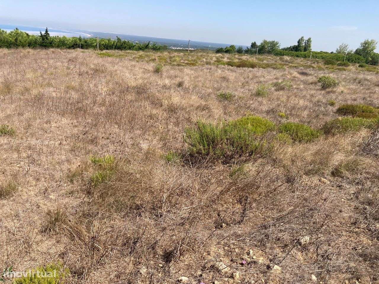 Terreno com 5551m2 vista mar Azoia Sesimbra - Grande imagem: 3/7