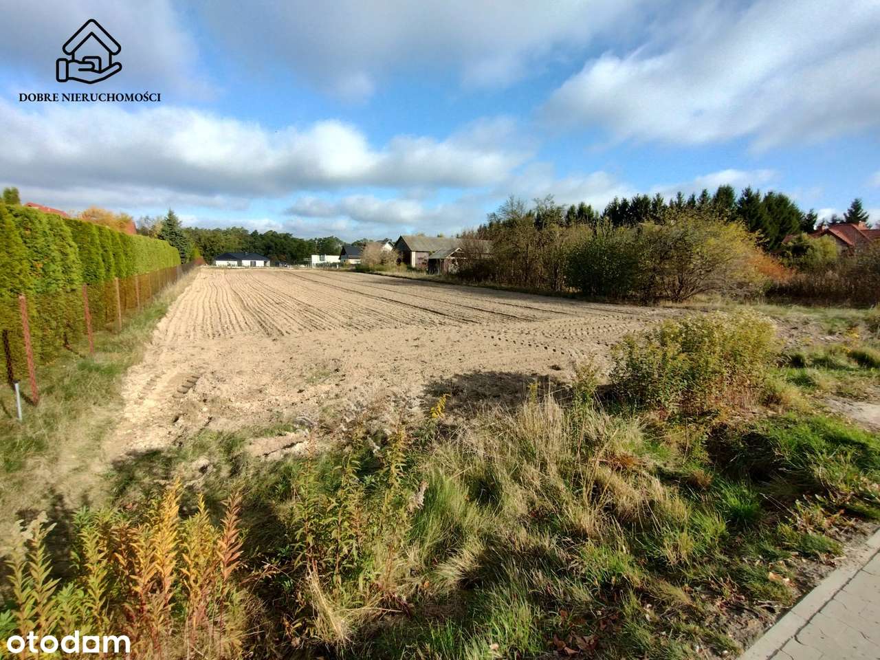 19a działka budowlana blisko lasu - Prawiedniki - Pełny obrazek: 1/4
