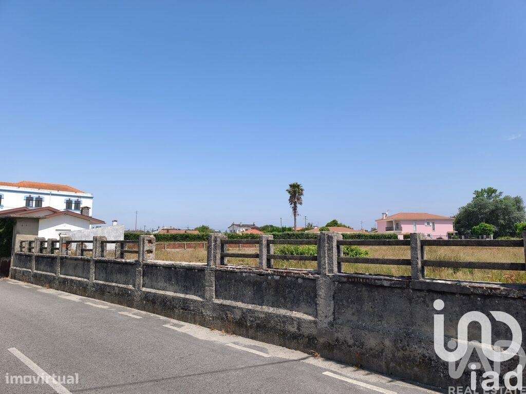 Terreno para construção em Murtosa - Grande imagem: 4/6