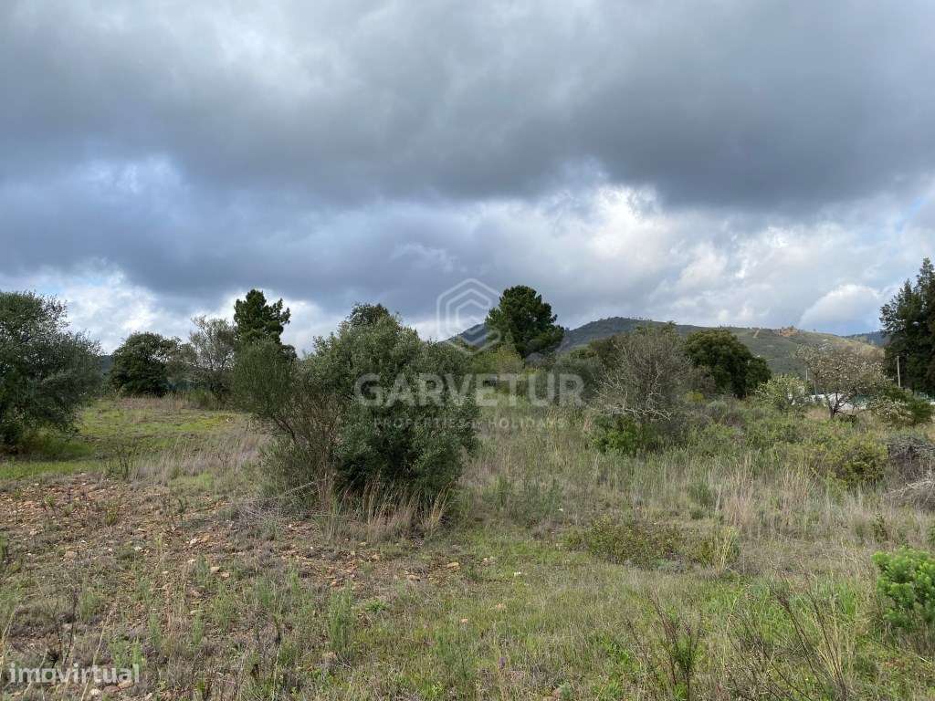 Terreno Rustico com 8 600m2, Salir, Algarve - Grande imagem: 5/17