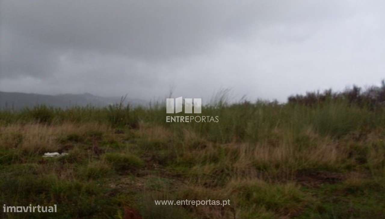 Venda Lote, Grilo, Baião - Grande imagem: 2/29