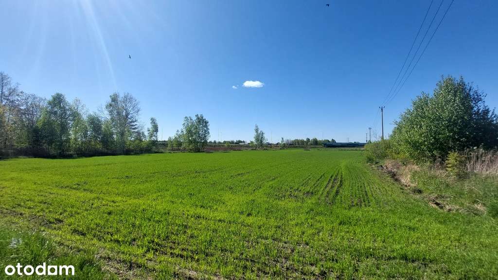 ✅Sprawdź >>> Działka inwestycyjna - Najem-1000m ✅ - Pełny obrazek: 5/9