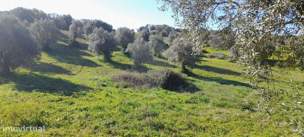 Terreno  para venda - Grande imagem: 2/10