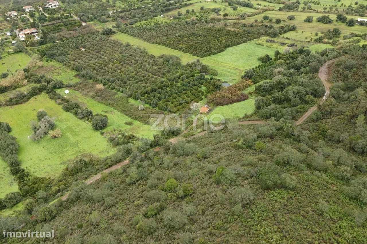 Dois Terrenos Rústicos c/ 4.680m2 em Ladeira da Cumeada - Grande imagem: 2/17
