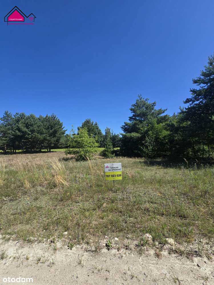 Piękna działka budowlana nieopodal lasu - Pełny obrazek: 2/6
