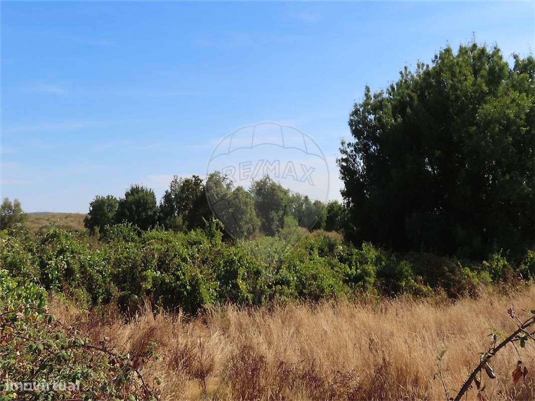 Quinta  para venda-34