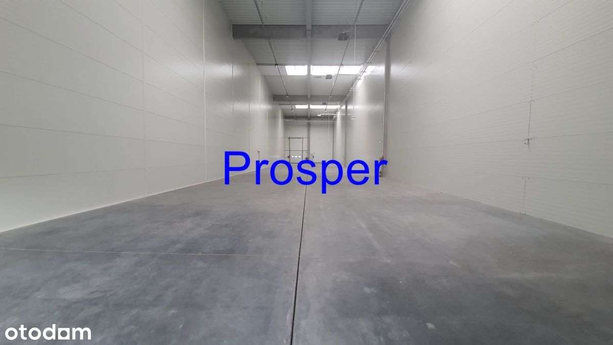 Hala mag. h=10m posadzka niepylna - Pełny obrazek: 2/4