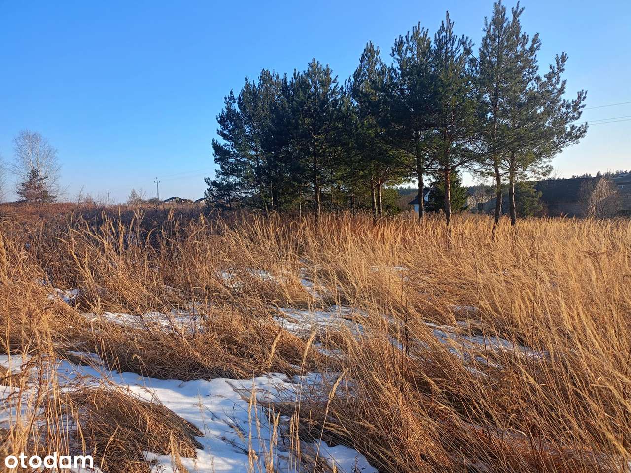 Ustawna działka na dom parterowy -dostępnych kilka działek obok siebie-6