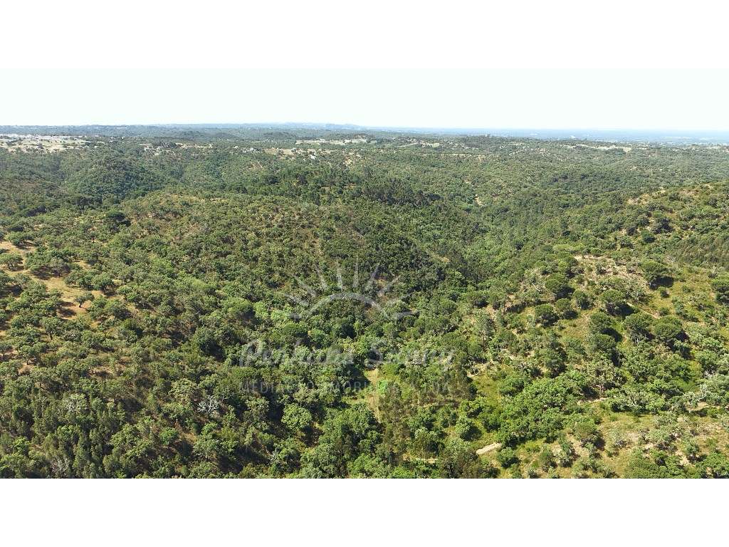 Terreno Misto - São Francisco da Serra - Melides-16
