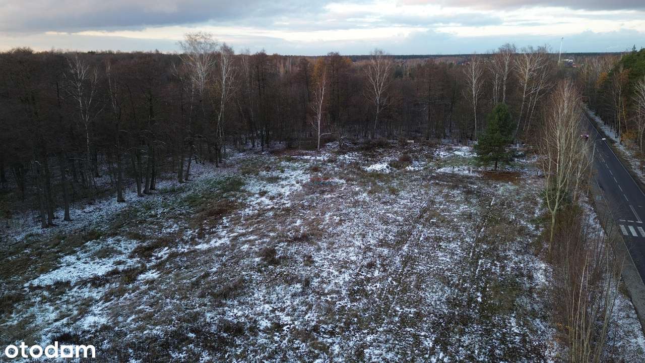 Działka, 6494.0 m², Ustanów-3