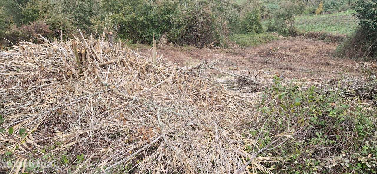 Terreno Rústico em Serradinho com Paisagem Deslumbrante - Grande imagem: 4/12