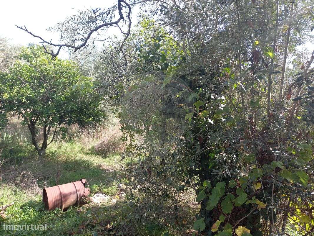 Moradia T1 para venda - Grande imagem: 5/5