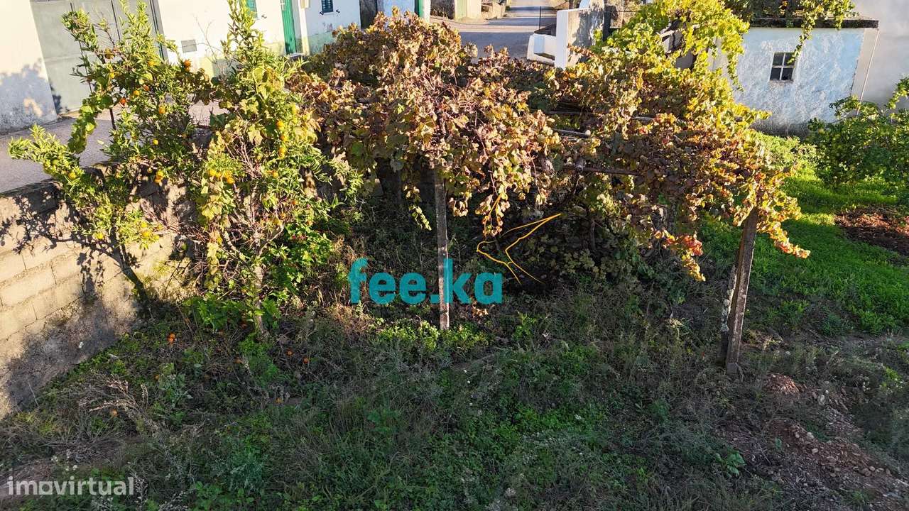 Terreno em Vale Figueira-6