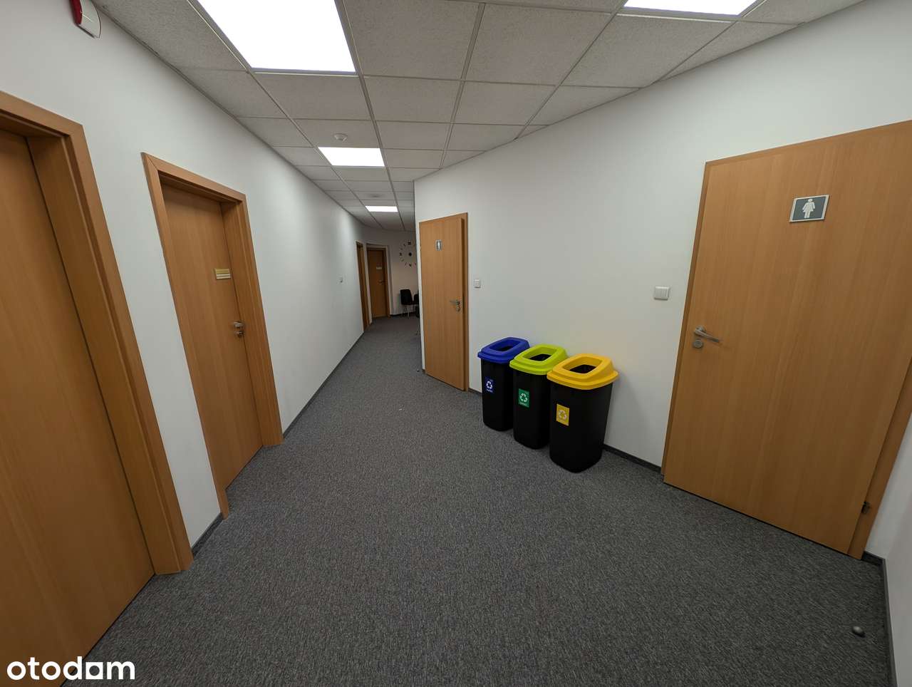 Sprzedam lokal o powierzchni 291 m² - całe piętro w biurowcu - Ursynów - Pełny obrazek: 2/13