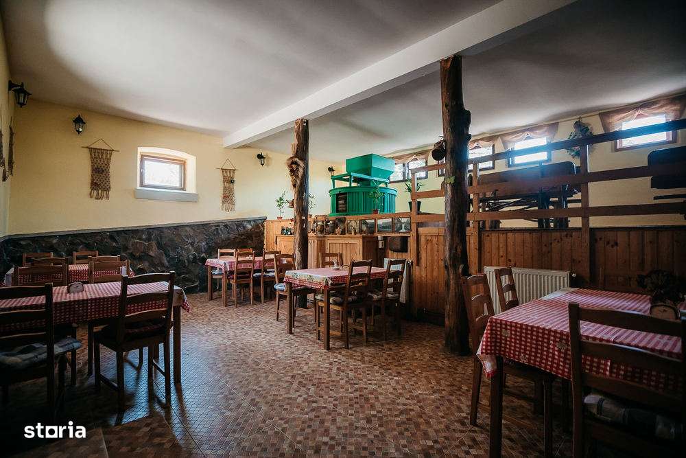 Proprietate deosebita,la cheie, cascada, lac de pesti in curte,C Carta-3