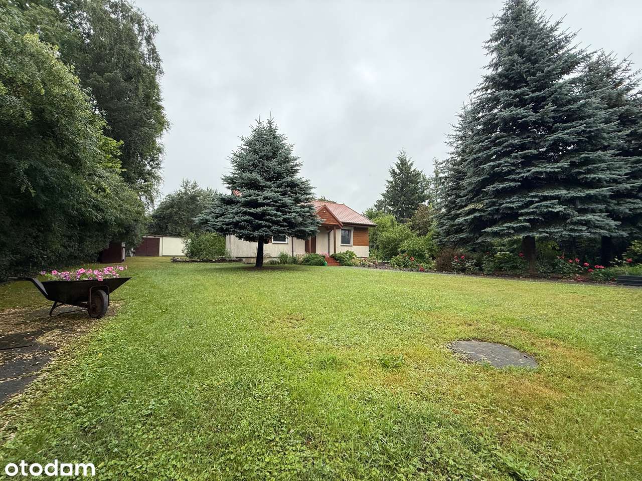 Uroczy dom, 3 pokoje, na dużej działce, Kicin-5