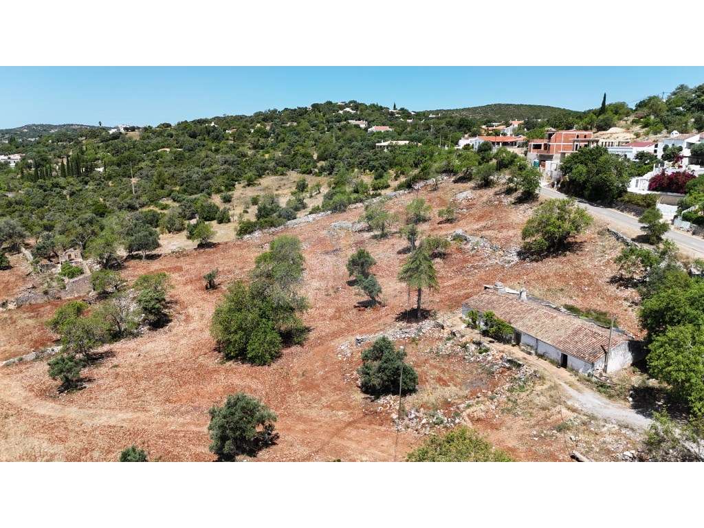 Quinta Centenária com Potencial para Turismo Rural - Grande imagem: 2/30