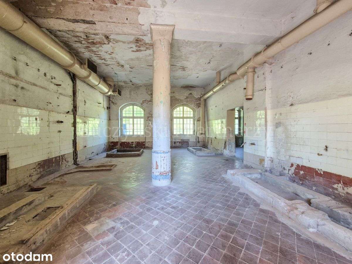 Nietuzinkowa nieruchomość w Kowarach-13